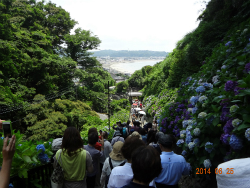 20140625kamakura01